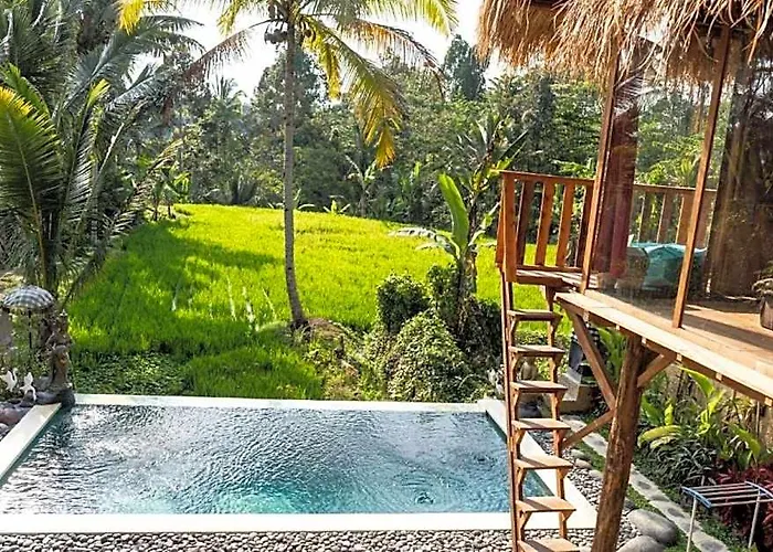Bali Bamboo Jungle Huts And Lodge