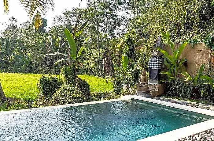 Bali Bamboo Jungle Huts And Lodge *