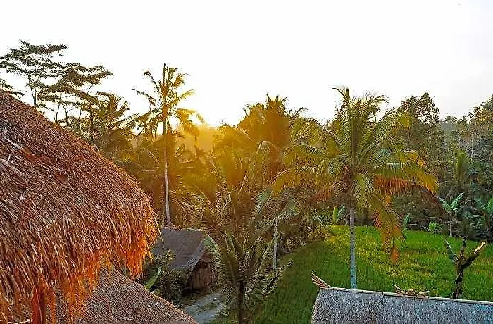 Bali Bamboo Jungle Huts And Tampaksiring