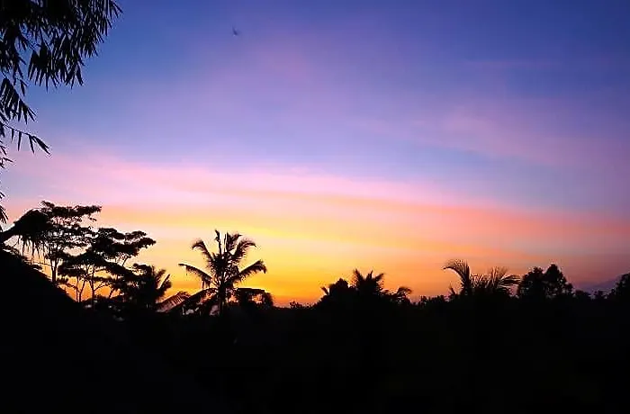 Bali Bamboo Jungle Huts And Tampaksiring