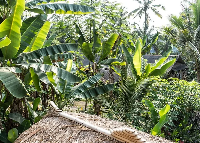 Bali Bamboo Jungle Huts And Tampaksiring
