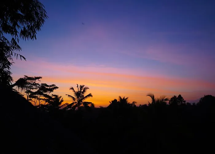 ロッジ Bali Bamboo Jungle Huts And