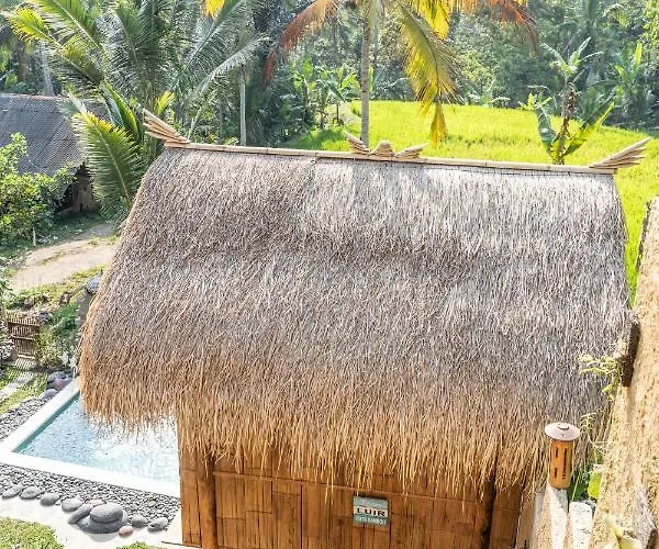 Bali Bamboo Jungle Huts And Lodge