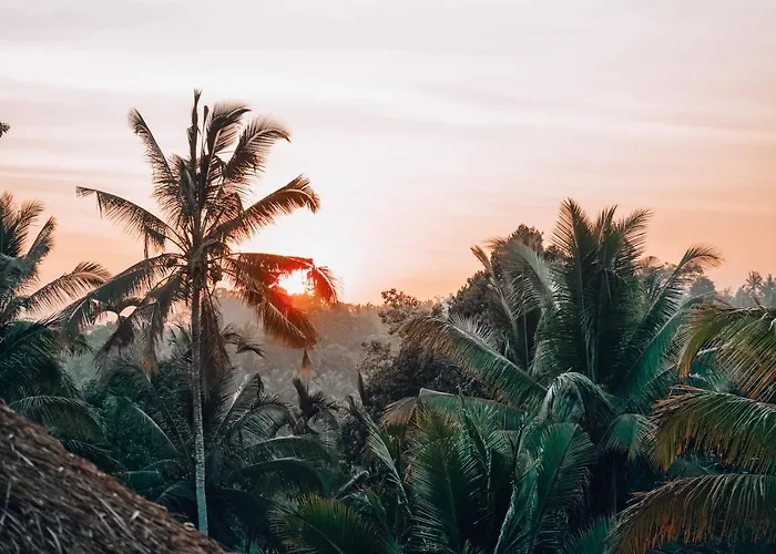 Bali Bamboo Jungle Huts And *